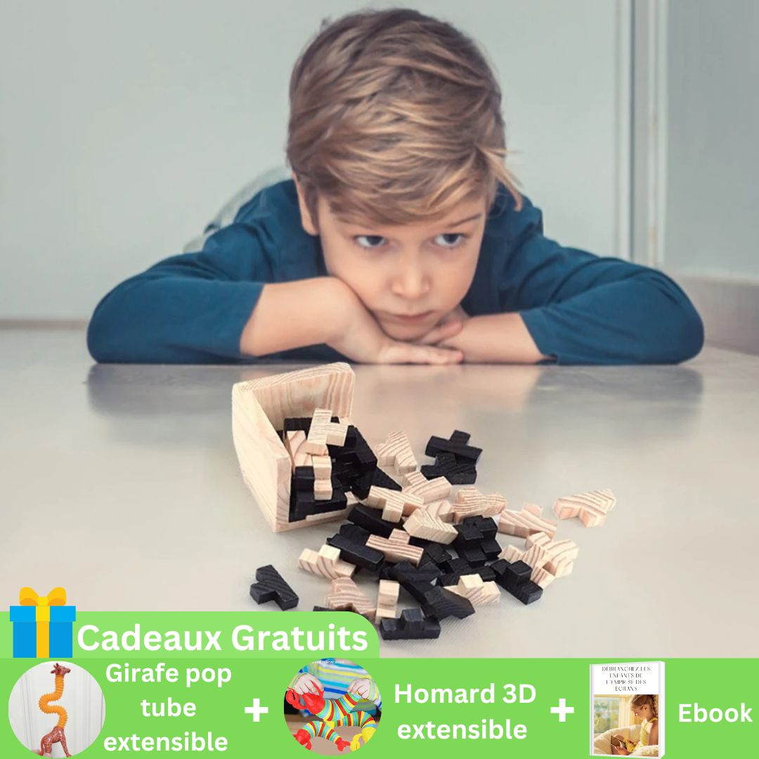 3DPuzzle™ | Puzzle Cube en bois