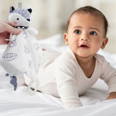 doudou-renard-accompagne