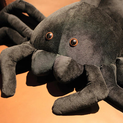 peluche-araignée-histoire